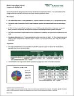 Congressional Report PDF